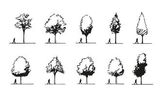 Silhouette Tree and Pedestrian Illustration Set. Urban Planning and Landscape Architecture Collection. Minimalist and Artistic Design. Isolated Illustration vector