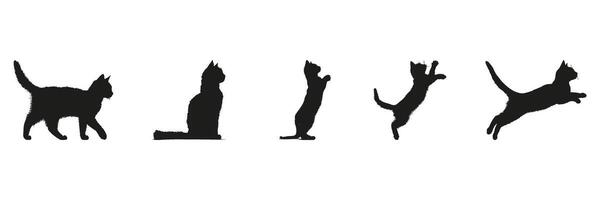 Cat Movement Silhouette Set. Feline Behavior And Activity Symbol Collection. Pet Observation And Animation Use. Isolated Illustration vector
