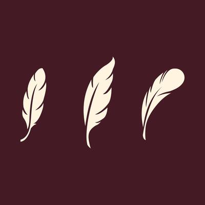 Bird Feather trendy art design pleasant amazing colorful useful illustration