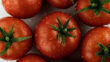 Fresh red tomatoes with green stems and droplets of water on a white background. Perfect for culinary and healthy lifestyle concepts. video
