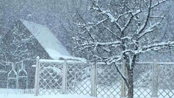 A snowy landscape featuring a wooden house and a bare tree. The scene is tranquil, with heavy snowfall creating a serene winter atmosphere. video