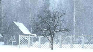 A snowy landscape features a bare tree and a wooden cabin surrounded by a white fence. Heavy snowfall creates a serene winter atmosphere. video