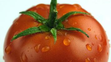 Fresh red tomato with water droplets on a white background. The tomato has a green stem and is ripe, showcasing its smooth surface and vibrant color. video
