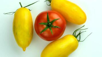 Four tomatoes arranged on a white background. Three yellow tomatoes and one red tomato with green leaves on top. Fresh produce concept. video