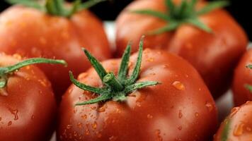 Fresh red tomatoes with green stems, glistening with water droplets. The scene highlights the vibrant color and texture of the tomatoes. video