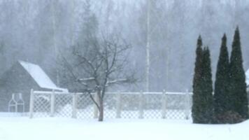 A snowy landscape featuring a wooden cabin, a bare tree, and tall evergreen trees. The scene is blanketed in white snow during a winter storm. video