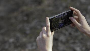 holding a smartphone to take a photo, capturing a shot of nature. Modern mobile device used for photo