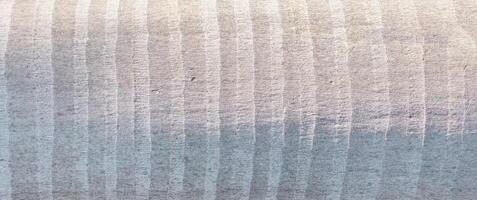 Close up of palm tree trunk with striped, gray bark texture. Organic, rough surface showcasing photo