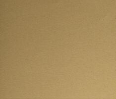 Premium olive green designer paper with a smooth matte texture, offering an elegant and minimalistic photo