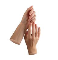 Hands with neat manicure and smooth nails touching gently. Feminine, soft skin with delicate care photo