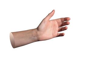 Open hand with relaxed curved fingers holding invisible object in natural light. Soft sunlit wrist photo