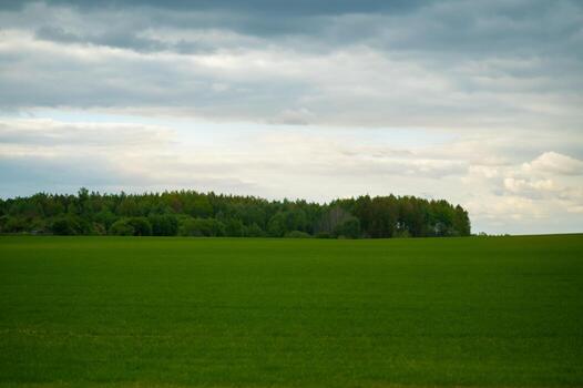 A field with a large green field and trees photo