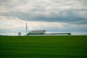 A large green field photo