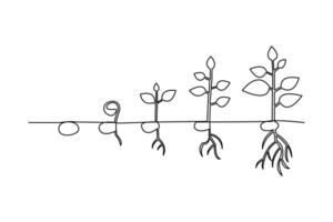 Growth plant icon in one line drawing minimalist style isolated on white background illustration vector