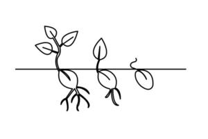 Continuous one line art of a growth plant with minimal outline isolated on white background vector