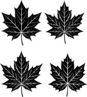 A set of maple leaf silhouettes vector