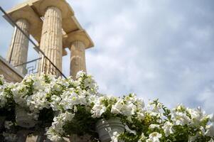 Background with sky, white flowers and columns. The concept of summer, recreation and tourism. thick clouds in the sky, white petunias in pots. space for text. photo