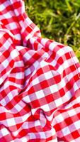 Red and white checkered picnic blanket on grass photo