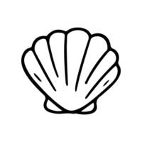 A simple and elegant seashell is presented. It is a hand drawn doodle icon in format, outlined with a clean, graphic line art style vector
