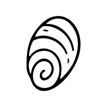 A seashell is presented as a simple black line drawing on a white background. It has a spiral pattern and rounded edges, making it an identifiable icon vector