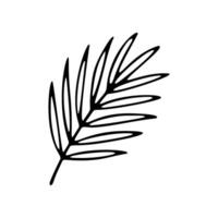 Black outline represents a stylized palm leaf. The leaf has several pointed leaflets along its stem, all presented as a simple, elegant graphic vector