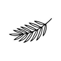 This is a minimalistic hand drawn doodle of a simple leaf and stem branch. The line art is black on a white background, ideal for botanical themes vector