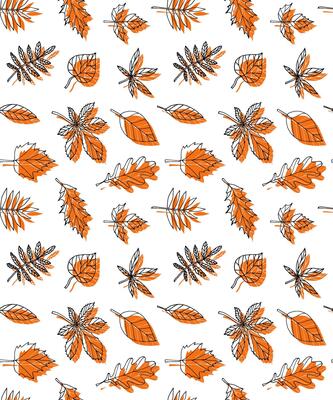 Seamless pattern of different color hand drawn doodle sketch autumn leaves isolated on white background