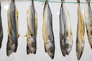 Hanging dried fish displayed at a local market in summer photo