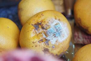 Close-Up of a Spoiled Lemon Showing Mold and Decay on Surface photo