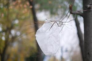 Plastic bag caught in tree branches during autumn photo