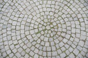 Circular stone pavement with moss patterns in a town square photo
