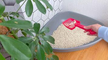 hand with a scoop sifts the light filler in a triangular plastic tray for cat video