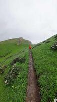 First person view hiking on path in Natural video