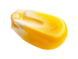 Shiny corn seed with realistic texture png