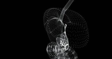 Hologram representation screen 3d of human digestive system loop video