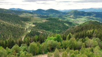 Panoramic View of Carpathian Valleys and Forest Roads, Rolling Hills and Villages Nestled in Lush Greenery video