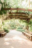 Pathway curves under wooden trellis covered white flowers. Benches line brick path through peaceful garden. Sunlight filters leaves showing greenery. Gardening background. photo
