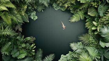 Fish swims alone in dark pond framed by lush tropical foliage. Green leaves provide a frame for a natural gardening design. photo