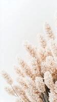 Dried plants decoration. Beige floral design elements. Soft botanical texture. Gentle field flowers with bright background. Gardening inspiration photo