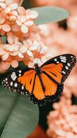 Orange Butterfly Resting on Pale Flowers with Green Leaf. Floral Background in Garden. Soft Light. Close View. Gardening Concept. photo