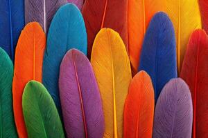Colorful feathers creating a vibrant and textured rainbow background photo