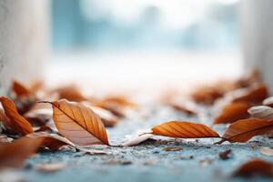 Crispy leaves scattered on the ground in a vibrant autumn setting with ample blank space for text photo