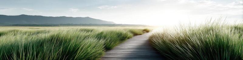 Inspiring open fields symbolizing new spiritual paths under radiant lighting photo