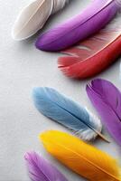 Brightly colored bird feathers displayed on a neutral background for creative use photo