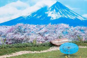 Scenic view of Mount Fuji with cherry blossoms and a blue umbrella in the foreground creating a serene and iconic Japanese landscape photo