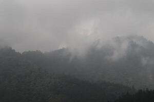 A plane flying over a mountain range with trees photo