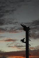 A sunset with clouds photo
