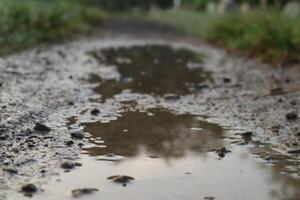 A puddle of water on the ground photo