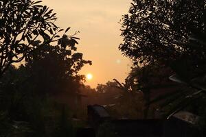 A sunset over a field with trees and bushes photo