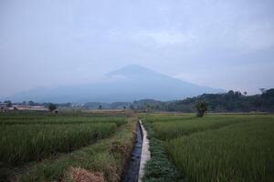 A view of a mountain in the distance photo